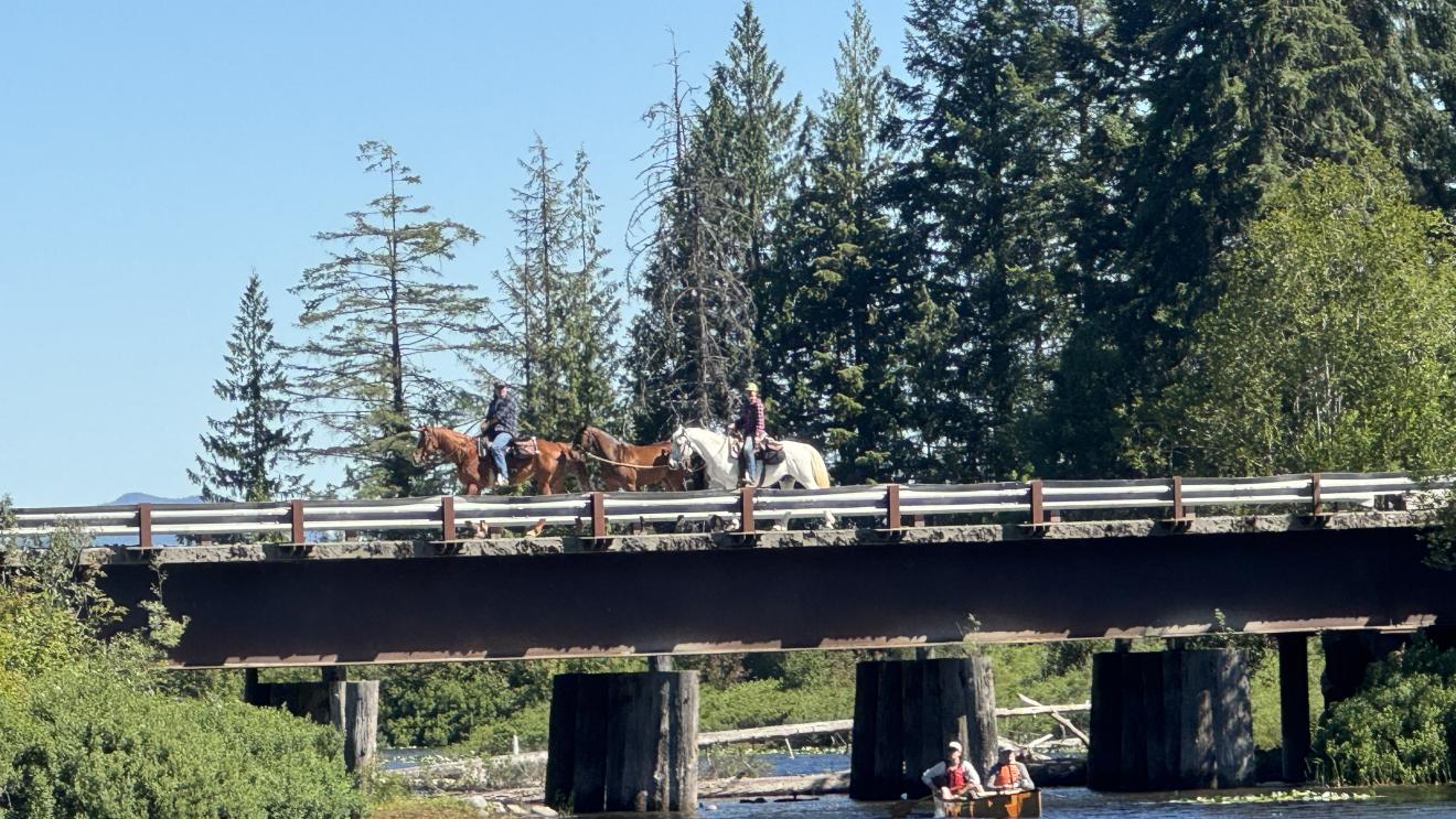 Two riders on horseback crossing a wooden bridge over a river, surrounded by trees.