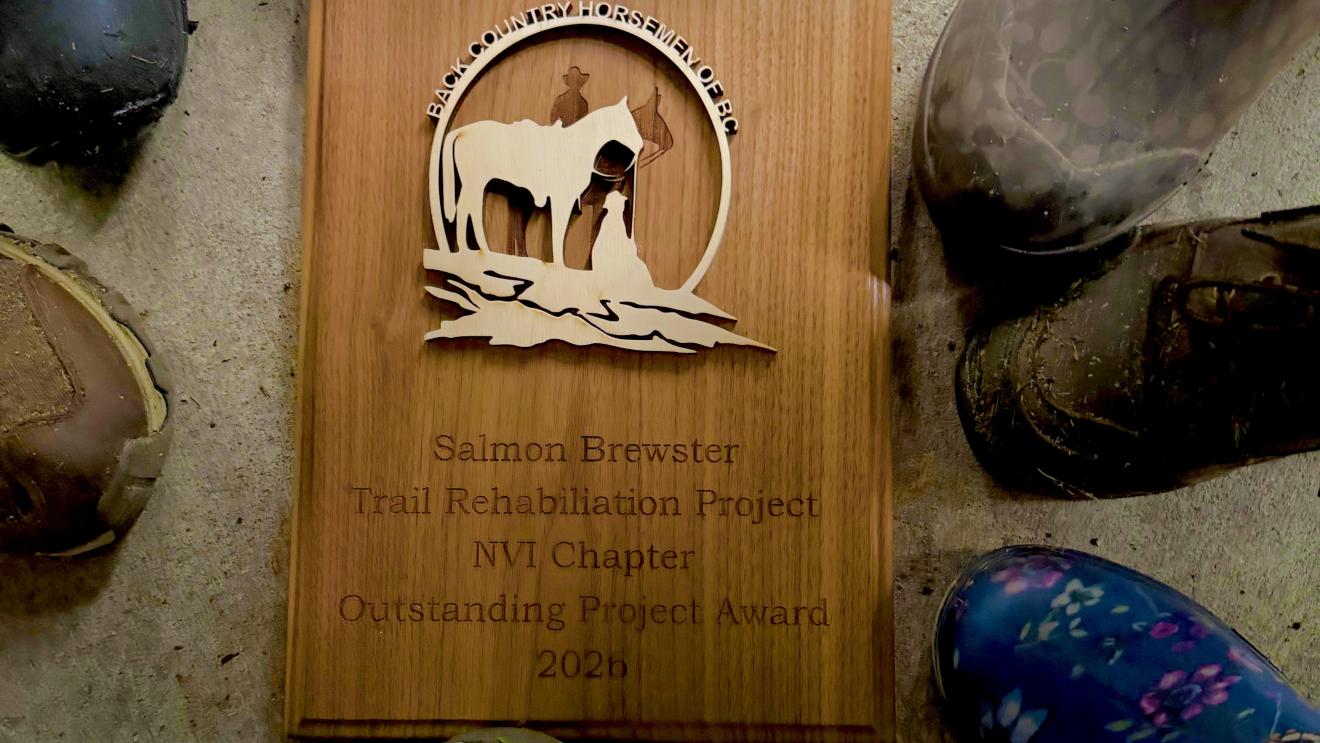 A wooden plaque featuring a horse design, surrounded by various boots on a surface.