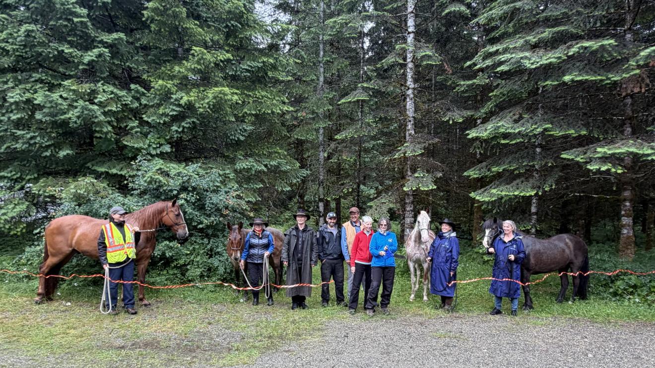 A group of people standing with horses in a wooded area, surrounded by tall trees.