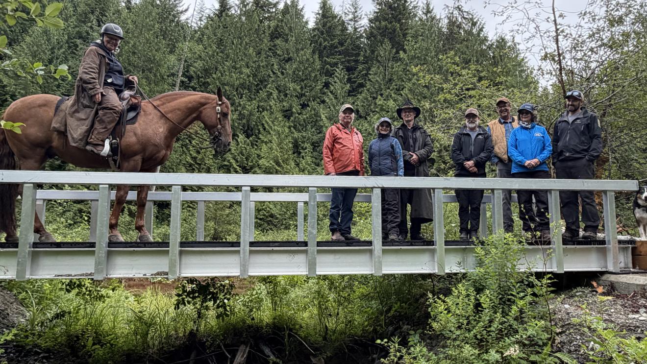 A horse rider on a bridge with a group of people standing beside them in a forested area.
