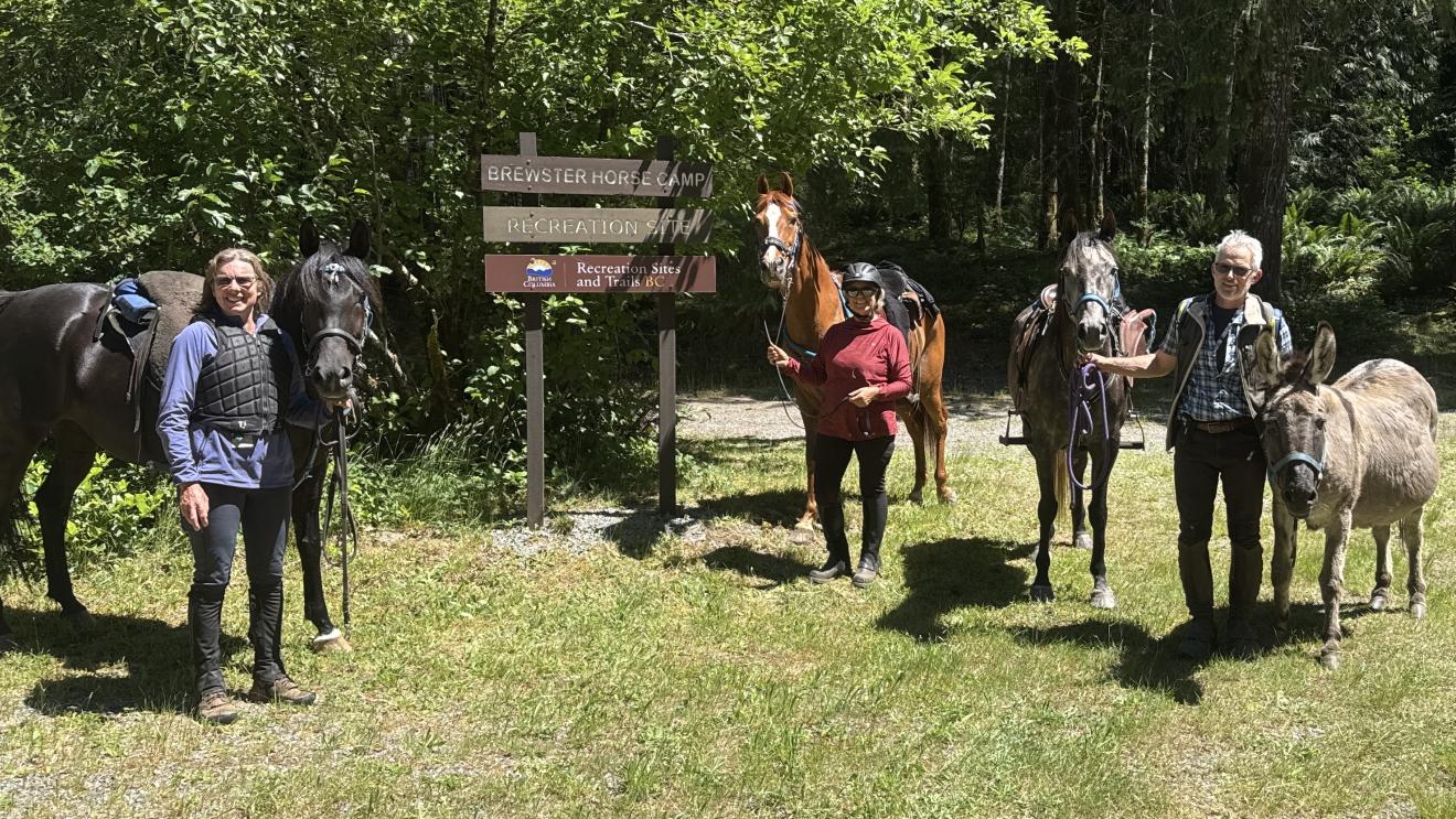 Two people stand beside horses and a donkey in a green forest clearing.