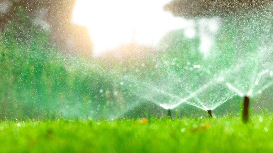 Sprinklers watering green grass in a garden, sunlight illuminating water droplets.