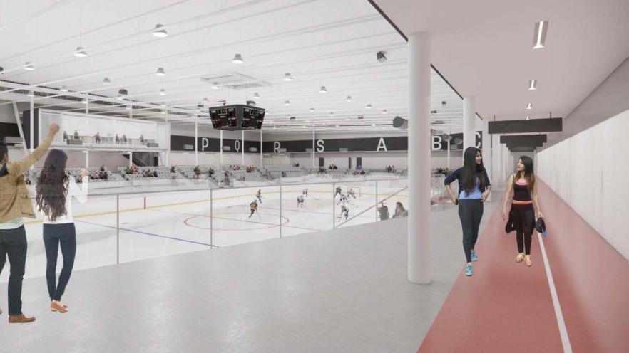 Indoor ice rink with people watching from the side and a hockey game in progress.