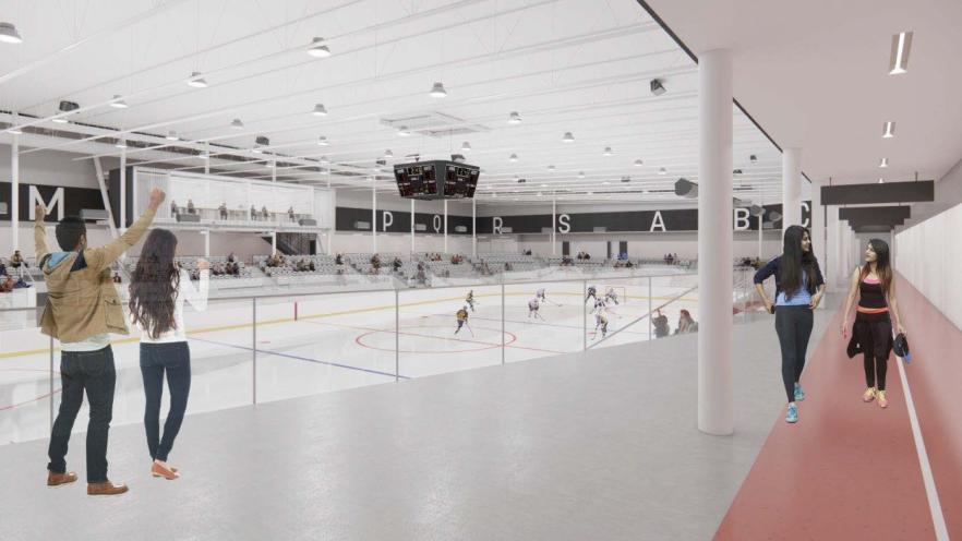 Indoor ice rink with people watching from the side and a hockey game in progress.