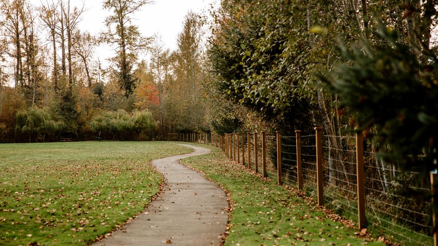 A winding path through a park lined with autumn trees and a fence.