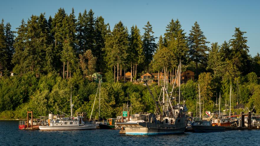 Boats on a lake with pine forest and houses in the background.