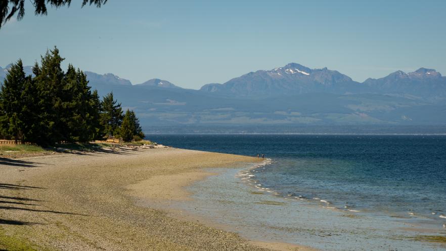 Sandy beach with trees, calm sea, and distant mountains under a clear blue sky.