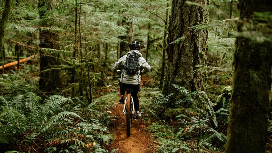 A person biking on a narrow trail through a lush green forest.