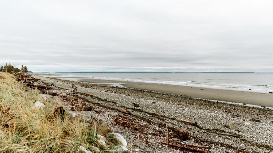 A cloudy beach scene featuring pebbles, driftwood, and sparse grass along the shoreline.