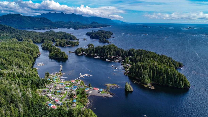 Aerial view of a scenic coastal village surrounded by lush forests and waterways.