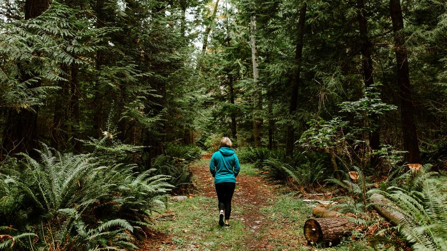 A person in a teal jacket walks down a wooded trail among tall trees and lush ferns.