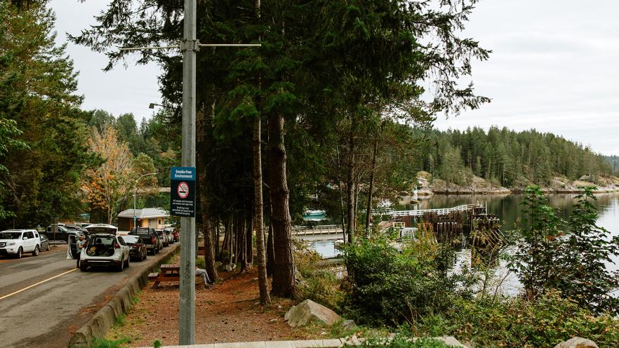 A view of a tree-lined waterfront with parked cars and a marina in the background.