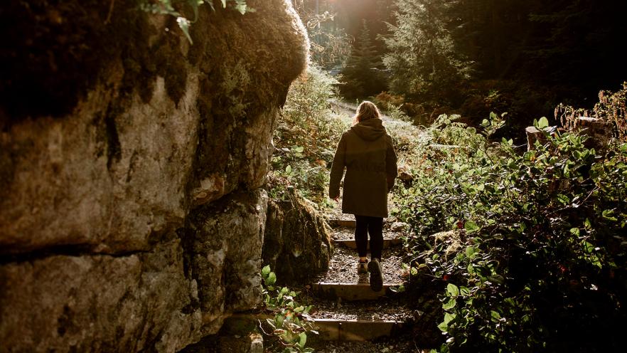 A person walking on a path surrounded by lush greenery and sunlight filtering through trees.