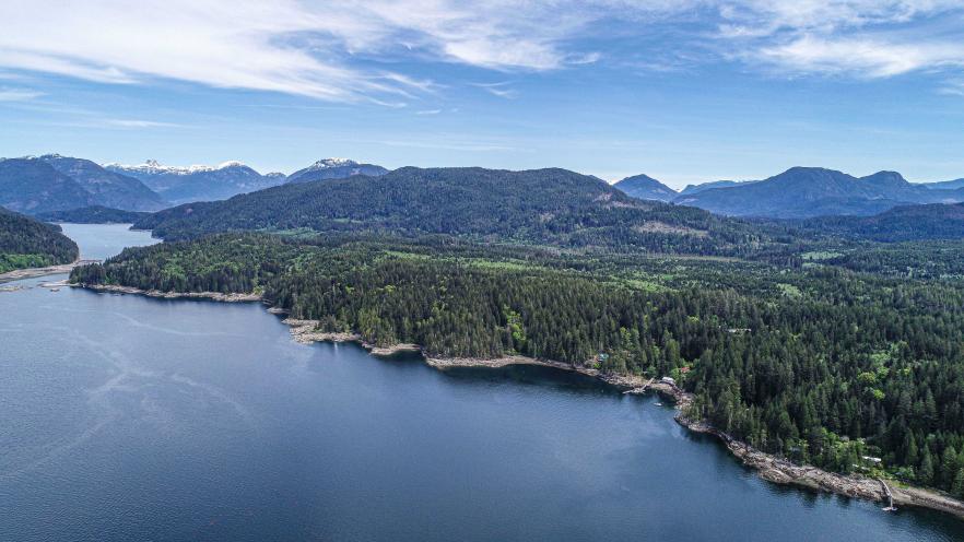 Aerial view of a serene lake surrounded by lush green forests and mountains under a blue sky.