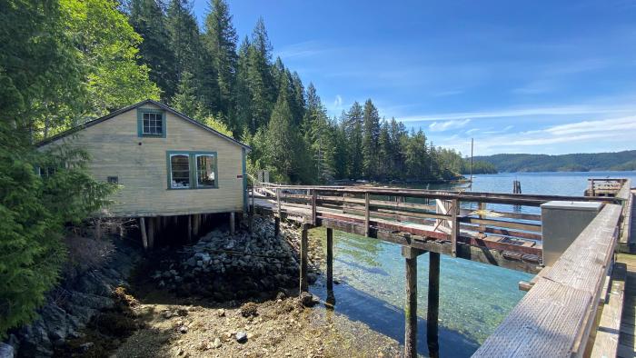 Surge Narrows Wharf, surrounded by trees and a clear blue sky.