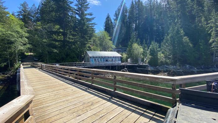 Surge Narrows wooden walkway among tall trees, with bright sunlight and a clear sky.