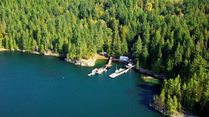 Aerial view of a forested shoreline with boats docked at a small pier.