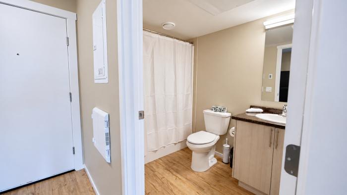 Bright bathroom with a shower curtain, toilet, and wooden flooring, viewed from the doorway.