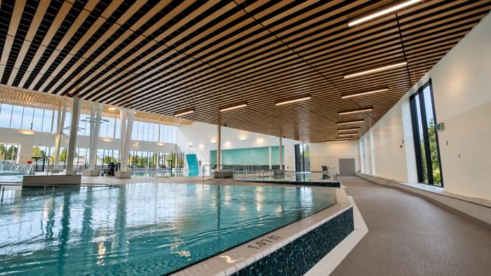 Indoor swimming pool with wooden ceiling, large windows, and bright natural lighting.