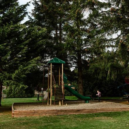 Playground surrounded by tall trees, with a slide and a wooden structure.