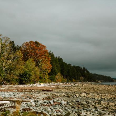 Rocky shoreline with autumn trees under cloudy sky.