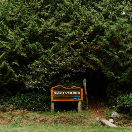 Trailhead sign surrounded by dense green foliage.