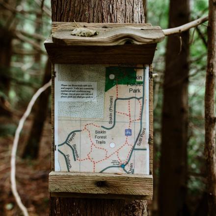 Trail map on a tree in a forest, surrounded by greenery.