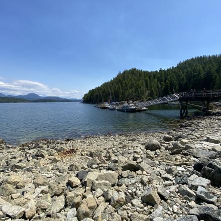 Rocky shoreline with clear water, boats docked, and lush green hills under a blue sky.