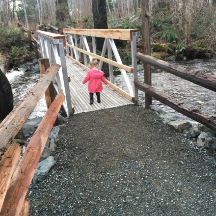 A child in a pink jacket walks on a wooden bridge over a creek in a forested area.
