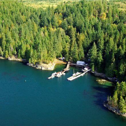 Aerial view of a forested shoreline with boats docked at a small pier.