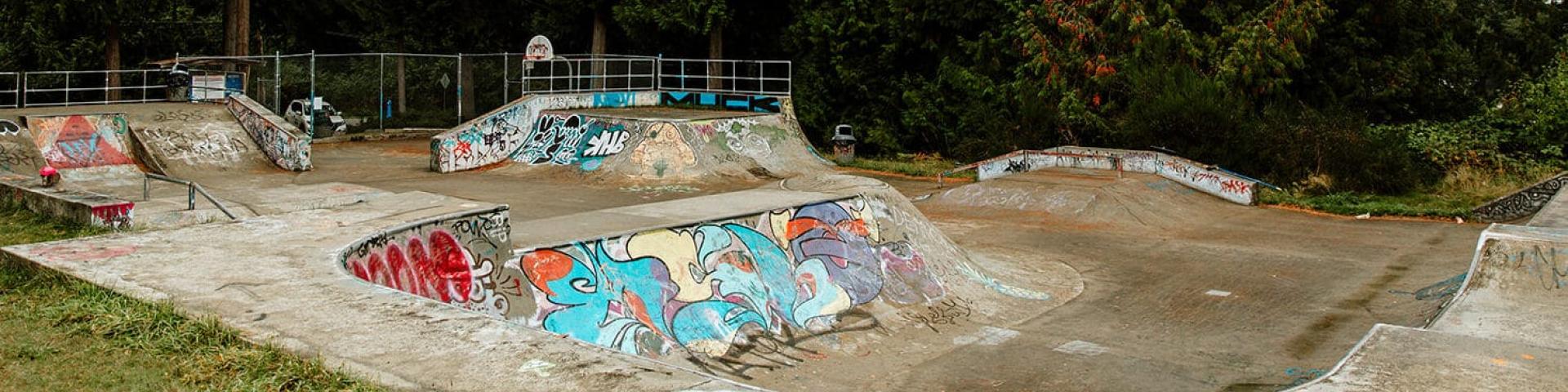 Concrete skate park with graffiti, surrounded by tall green trees.