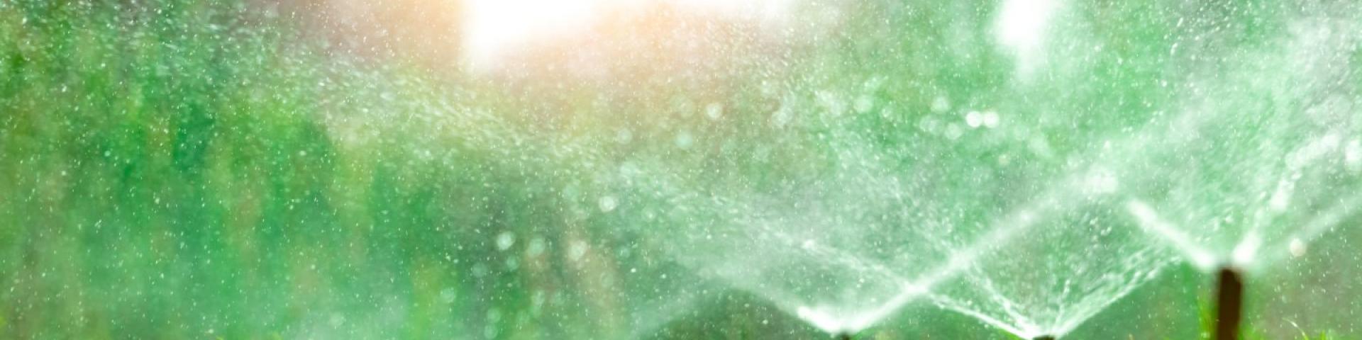 Sprinklers watering green grass in a garden, sunlight illuminating water droplets.
