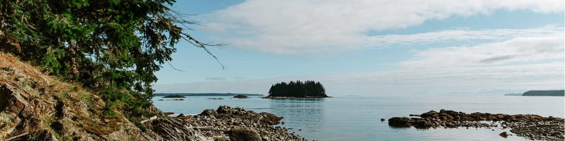 Rocky shoreline with trees overlooking calm sea and distant island under cloudy sky.