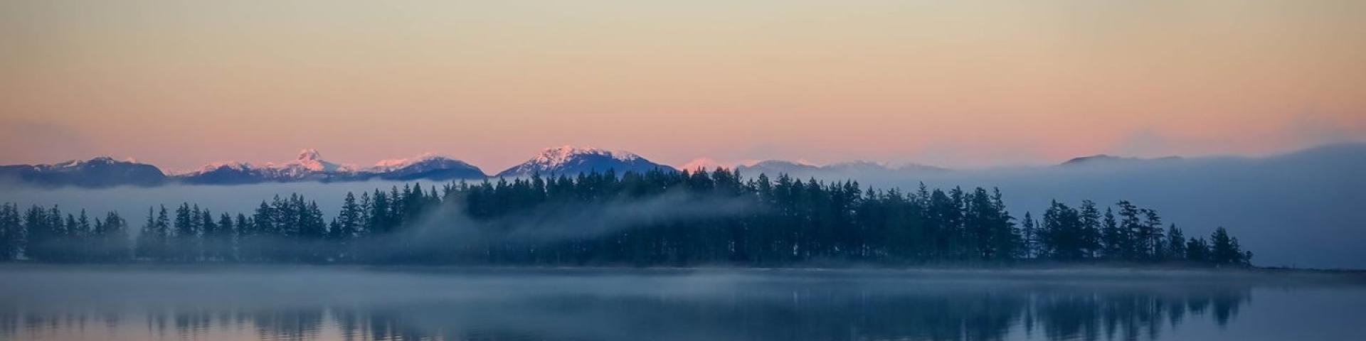 Island with trees reflected in calm water, at dawn.