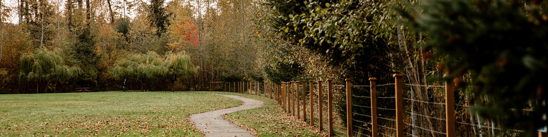 A winding path through a park lined with autumn trees and a fence.