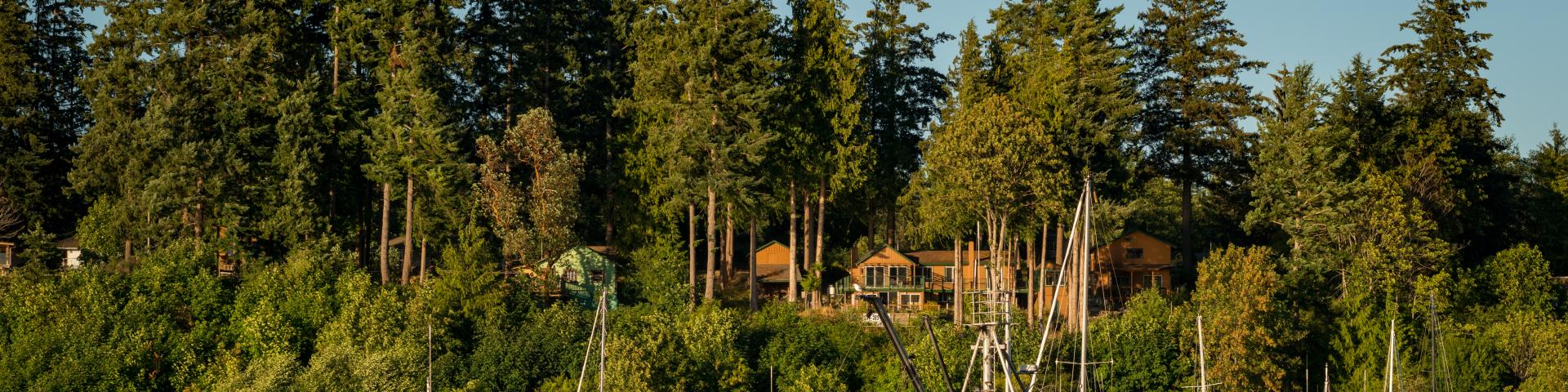Boats on a lake with pine forest and houses in the background.