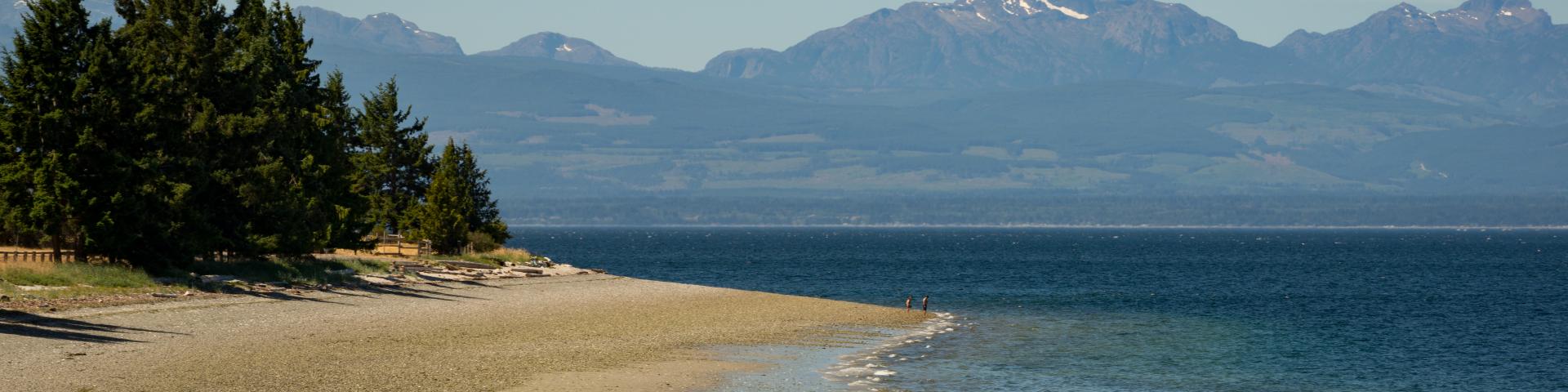 Sandy beach with trees, calm sea, and distant mountains under a clear blue sky.