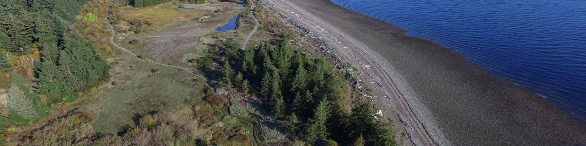 Coastal aerial view with forest, beach, and blue ocean.