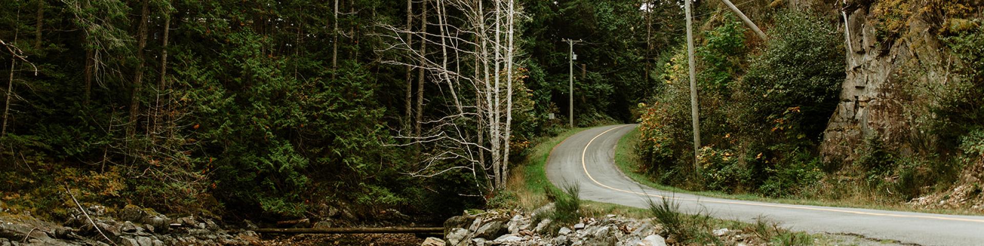 Winding road surrounded by dense trees and rocky coastline.