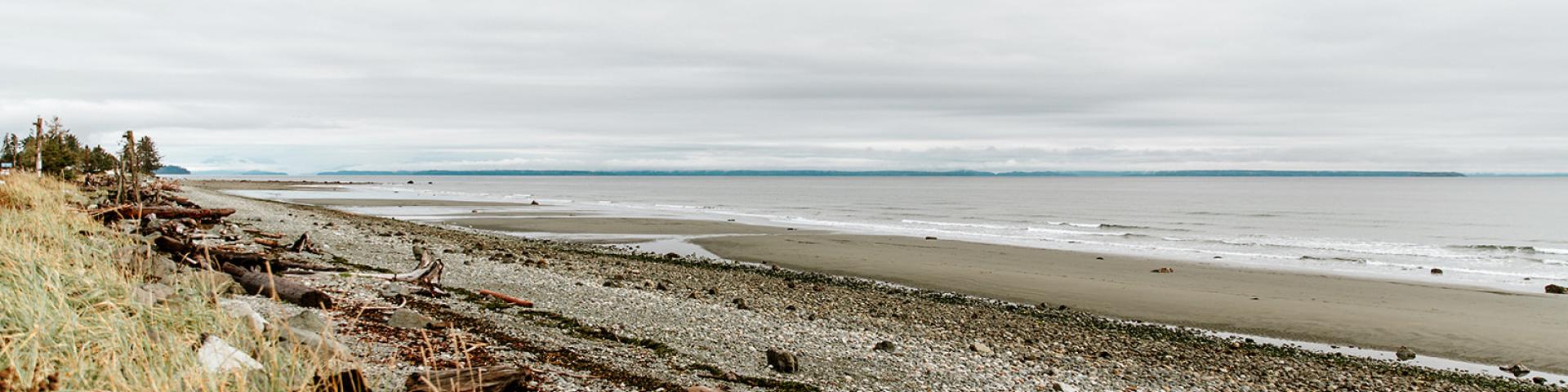 A cloudy beach scene featuring pebbles, driftwood, and sparse grass along the shoreline.