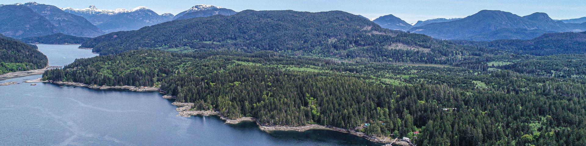 Aerial view of a serene lake surrounded by lush green forests and mountains under a blue sky.
