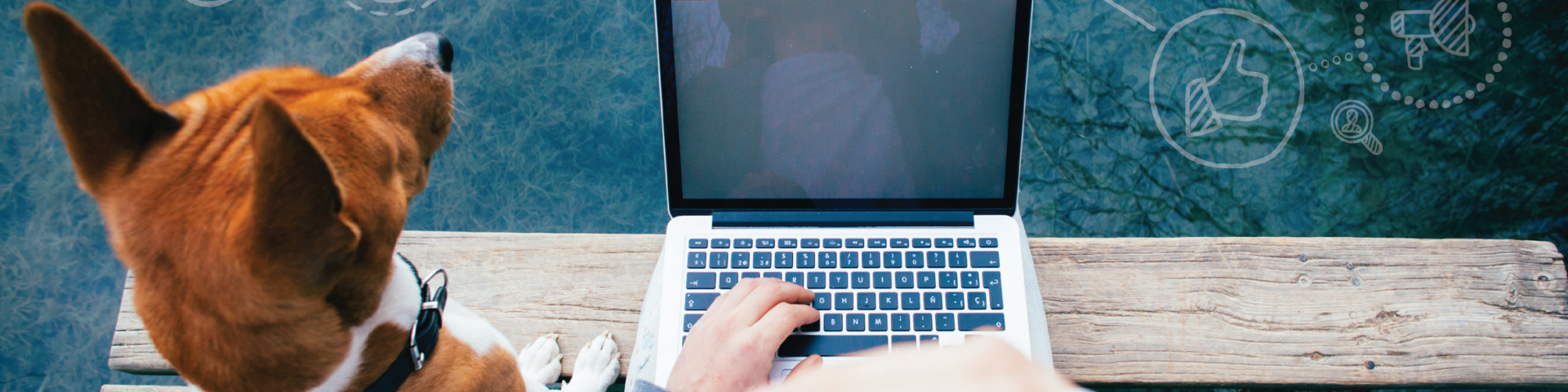 A dog sitting beside a person using a laptop on a dock by the water.