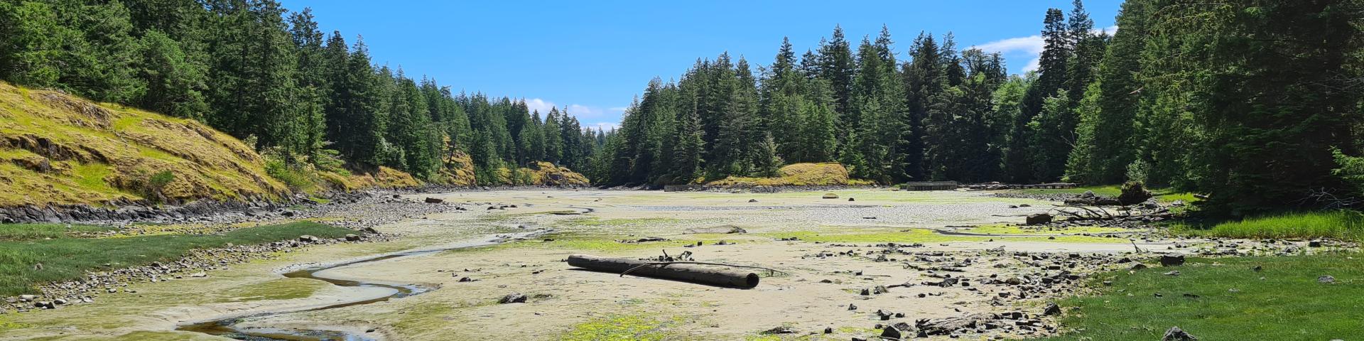 Rocky shoreline with clear water, boats docked, and lush green hills under a blue sky.