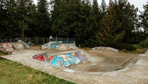Concrete skate park with graffiti, surrounded by tall green trees.