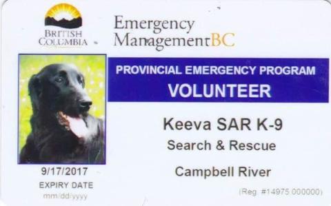 Provincial emergency volunteer ID for Keeva, a search and rescue K-9.