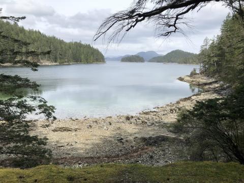 Serene bay with calm water, surrounded by forested hills under a cloudy sky.