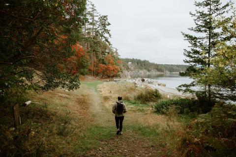 Person walking on a forest path by a river under an overcast sky.
