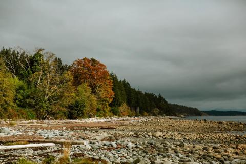 Rocky shoreline with autumn trees under cloudy sky.