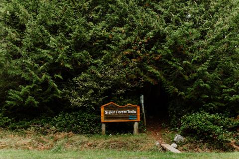 Trailhead sign surrounded by dense green foliage.