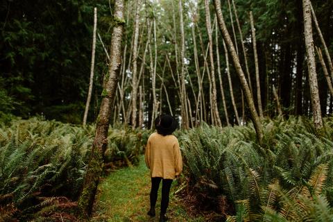 Person in a yellow coat walking through a dense forest path.